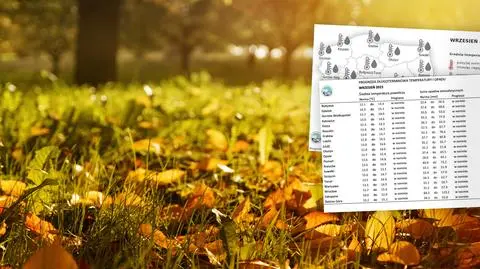Jaka pogoda będzie we wrześniu? IMGW zaktualizował swoją prognozę