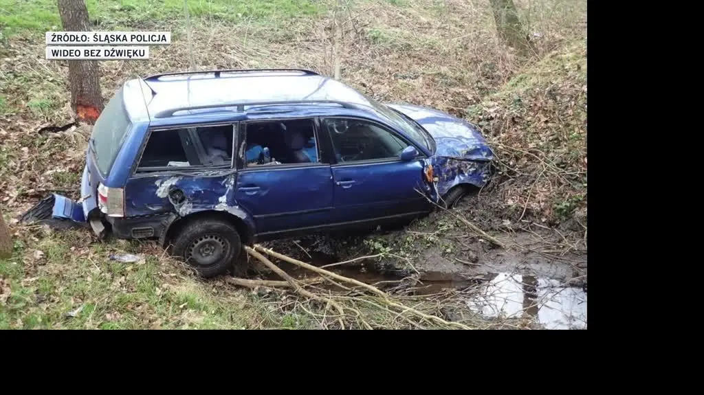 slideshow śląska policja