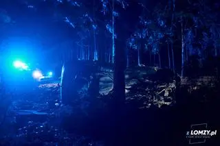 Auto dachowało i zatrzymało się na drzewie