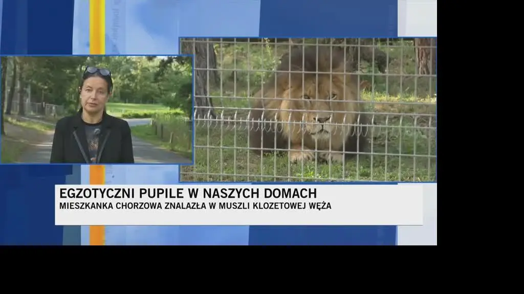 zoo2