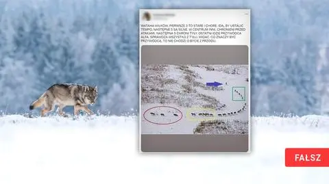 nowy-konkret-falsz-16