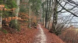 Droga pod Reglami w Tatrach po remoncie
