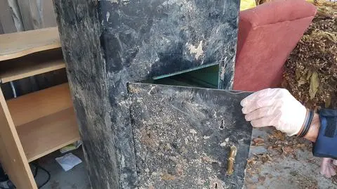 Zniknął z firmy, odnalazł się w lesie. Sejf był zakopany