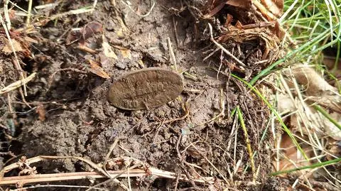Wykopali tajemniczą pieczęć, jest na niej nazwisko i nieznana już dziś funkcja