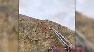 Pies utknął na półce skalnej w kopalni