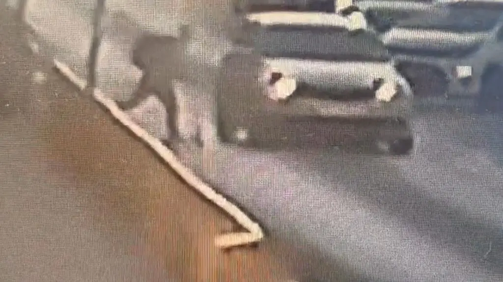 Wjechał hulajnogą w bok samochodu