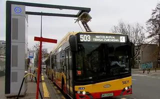 Warszawa chwalona za ekologiczny transport