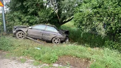 Jazdę zakończyli na drzewie