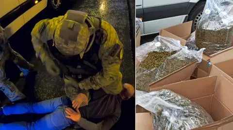Policyjna akcja przy granicy. Marihuana warta miliony ukryta w karmie dla psów