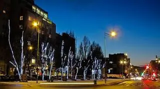 Centrum Gdyni po zmroku nabiera świątecznwego klimatu