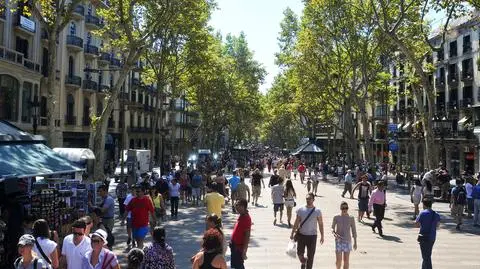 Krucza jak barcelońska La Rambla. Urzędnicy planują przebudowę