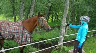 "Nawet koniec chodzą w swetrach"