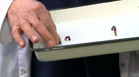 magnetyczne kulki, które połknęła 4,5-letnia pacjentka szpitala w Gliwicach