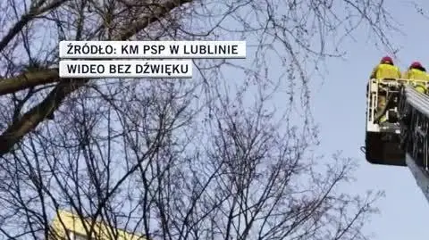 slideshow_lublin__1617175821210
