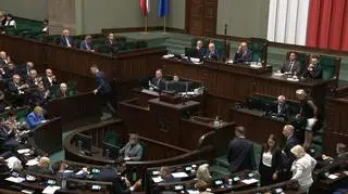"Jakieś lobby się zaniepokoiło”. Pełczyńska-Nałęcz o zdjęciu ustawy z głosowań