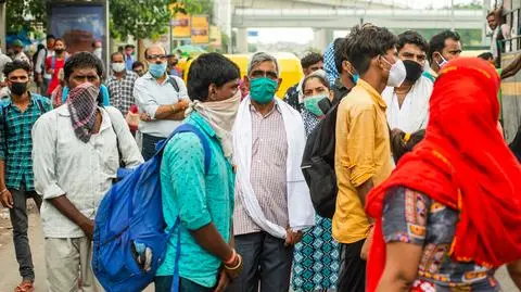 Nowy wirus grypy pomidorowej atakuje w Indiach