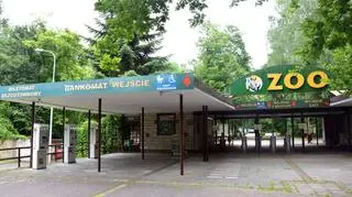 Poznańskie zoo ma nowego dyrektora