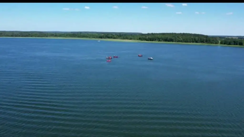 Dron
