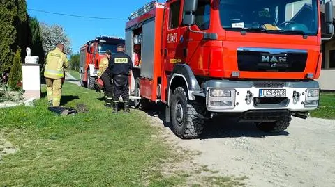 Strażacy uratowali koziołka. "Zwierzę brodziło w błocie i nie mogło się wydostać" 