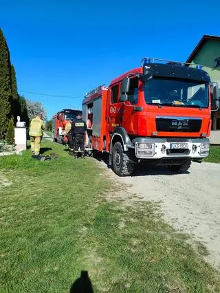 W akcji brały udział dwa zastępy straży pożarnej