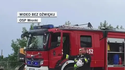 slajdszoł dla Filipa