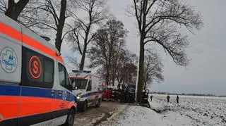 Bus wjechał w drzewo w Kościeleczkach