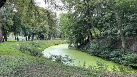 Ciało kobiety w fosie miejskiego parku
