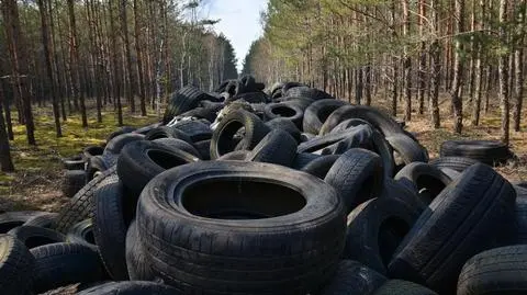 Sterta opon w środku lasu. Leśnicy wystawili już rachunek, szukają właściciela, by mu go wręczyć