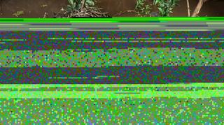 Kadr z filmu "Missing Picture"