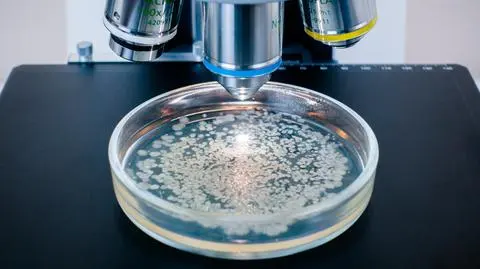 legionella