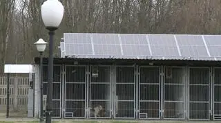 Inwestycja pochłonęła 138 tysięcy złotych
