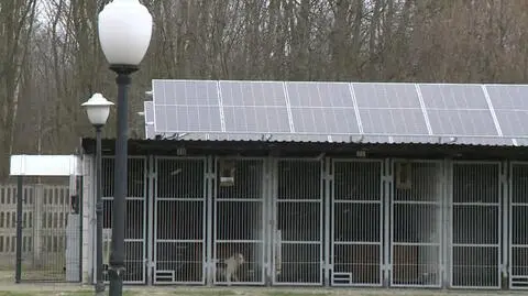 Inwestycja pochłonęła 138 tysięcy złotych