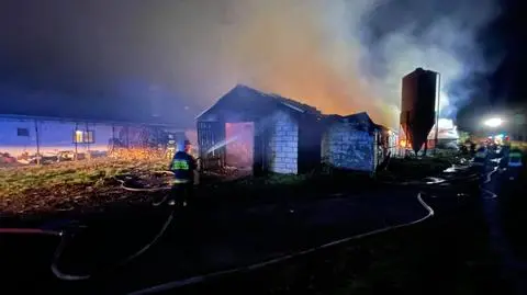 Runął dach płonącego kurnika, a jedna ze ścian przewróciła się na strażaka