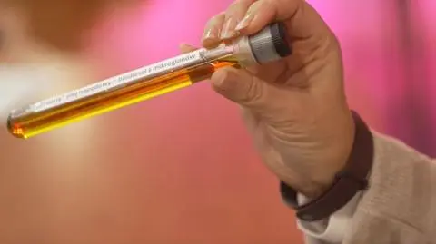 Ekologiczne paliwa będą produkowane z alg