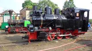 Organizatorzy spodziewają się ok