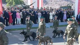 Udział psów w wojskowej defiladzie 15 sierpnia