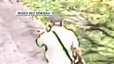 policja gorzow dla Wandy