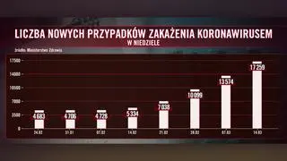 Liczba nowych przypadków zakażenia koronawirusem w poszczególne niedziele