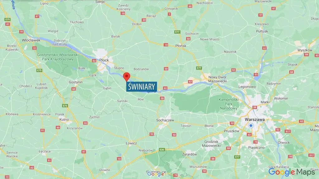 Świniary