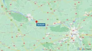 Świniary
