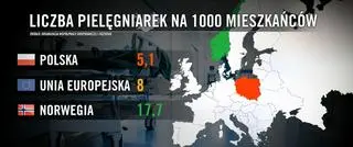 Liczba pielęgniarek na 1000 mieszkańców