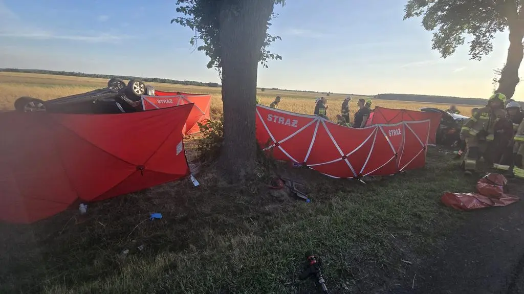 Wypadek pod Paradyżem, DK 74