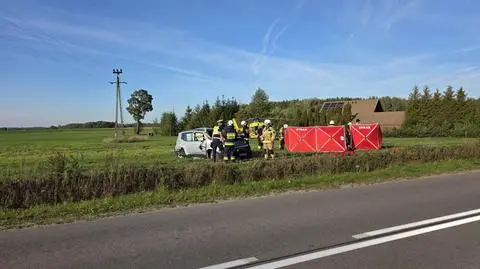 Wypadł z drogi, uderzył w słup