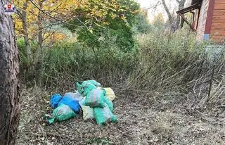 Policja: węgiel spakowali do 28 worków