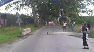 Pan Eugeniusz miał z nią dość kłopotów 