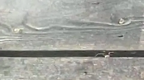 Jankowski o dymisji Niedzielskiego: sytuacja, z którą mieliśmy do czynienia, była naprawdę oburzająca