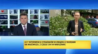 Siła wiatru powaliła drzewa na jednym z podwórek na Pradze