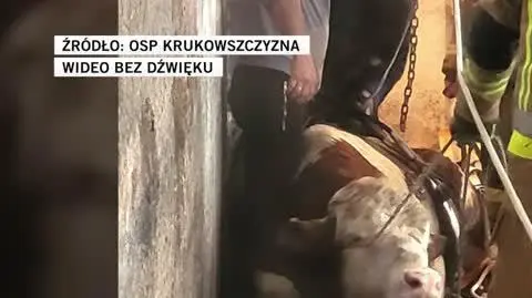 OSP Krukowszczyzna