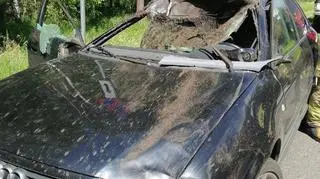 Dwie osoby ranne po zderzeniu z łosiem
