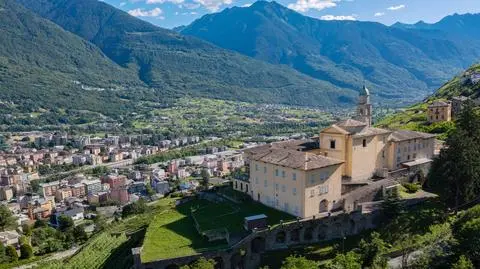 Podczas spaceru po lesie znalazł 10 tysięcy euro